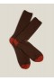  Chaussettes en laine recyclée Benjamin couleur chocolat | YMC pour hommes